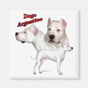 Dogo Argentino Trio 2 - Magnet