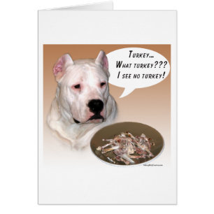 Dogo Argentino Türkei