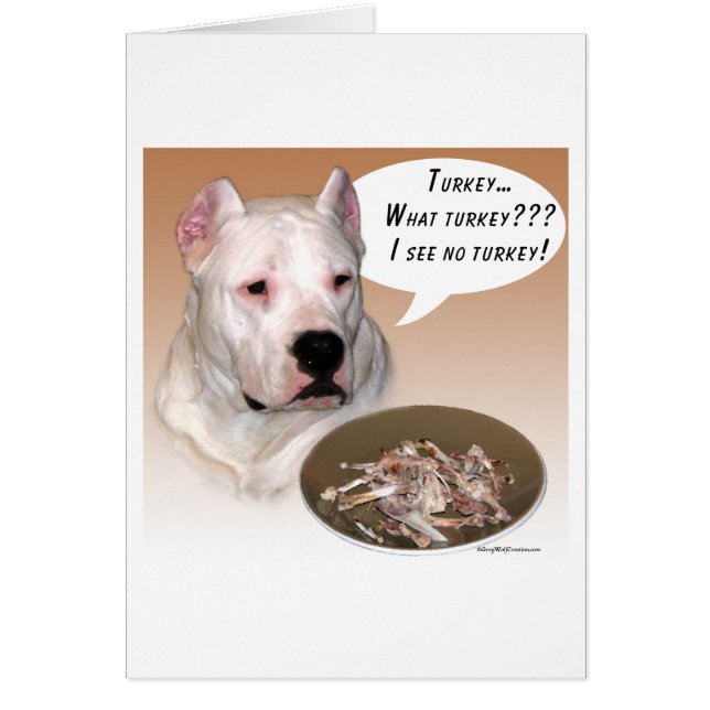 Dogo Argentino Turquie (Devant)