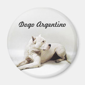 Dogo, Dogo Argentino Magnet