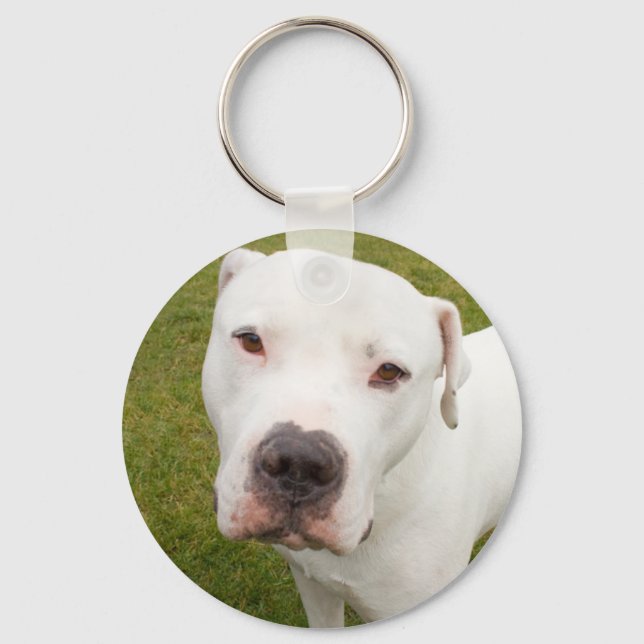 Dogo Schlüsselanhänger (Vorderseite)