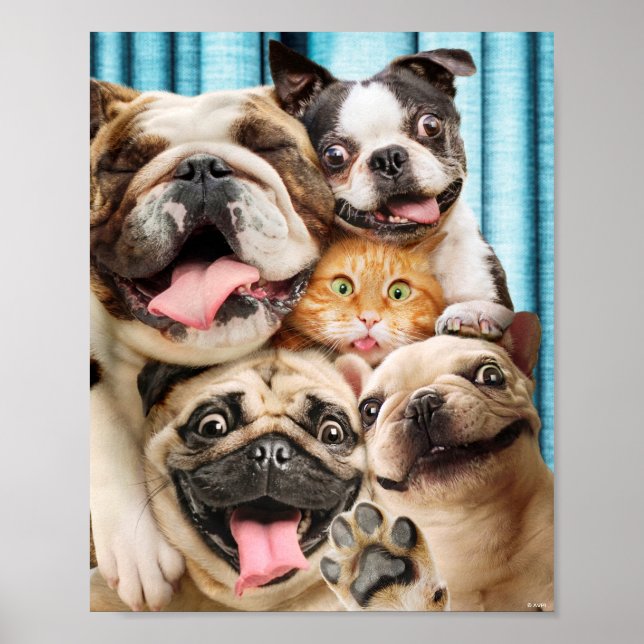 Dogs and a Cat Group Photo Poster (Vorne)
