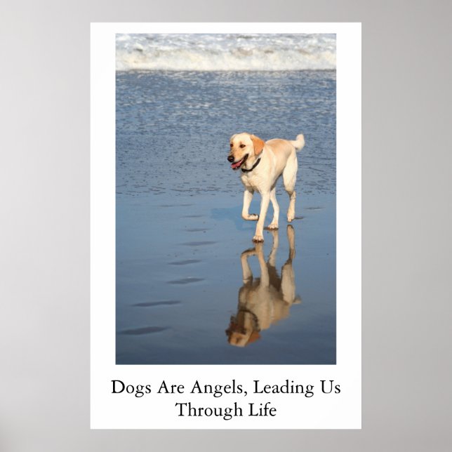 Dogs Are Angels Poster (Vorne)