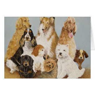 Dogs Dinner