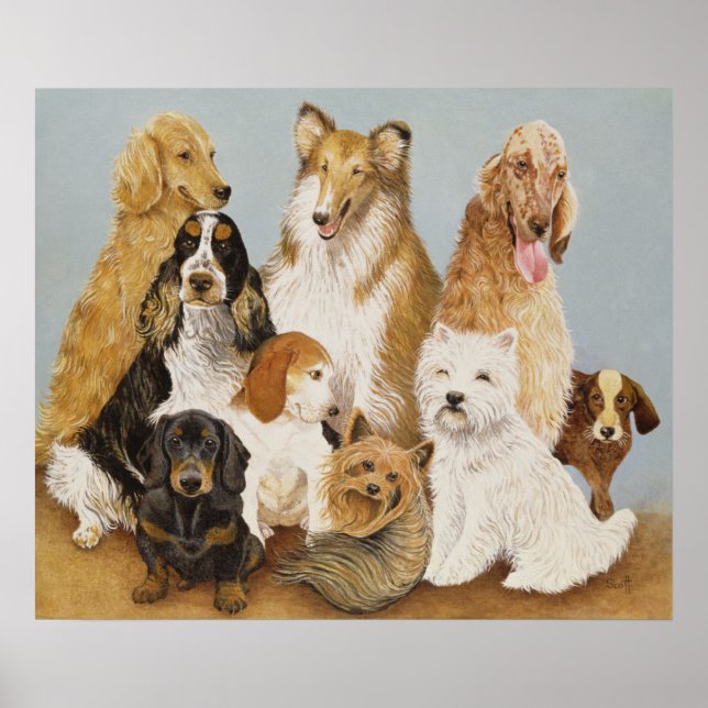 Dogs Dinner Poster (Vorne)