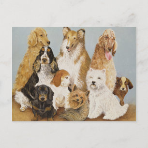 Dogs Dinner Postkarte