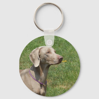 Dogs make our lives whole - Weimaraner Schlüsselanhänger