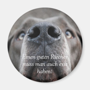 Dogs nose, One must also have a good sniffer... Magnet