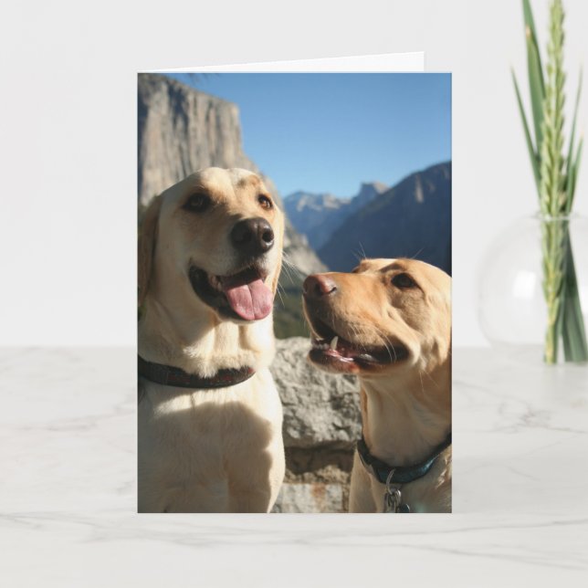 Dogs_TunnelView Kopie Feiertagskarte (Vorderseite)