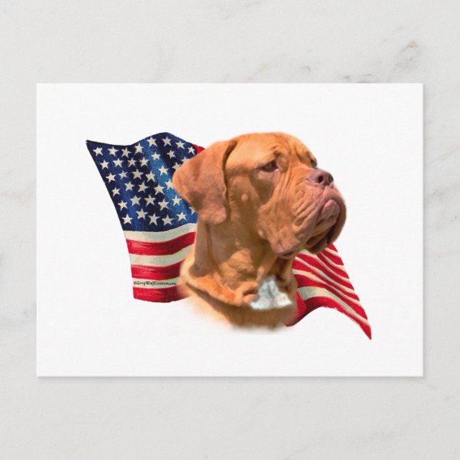 Dogue de Bordeaux Flag Postkarte (Vorderseite)