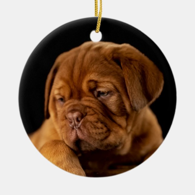 Dogue de Bordeaux, französischer Mastiff Keramik Ornament (Vorne)