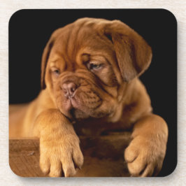 Dogue de Bordeaux, französischer Mastiff Welpe Dog Getränkeuntersetzer