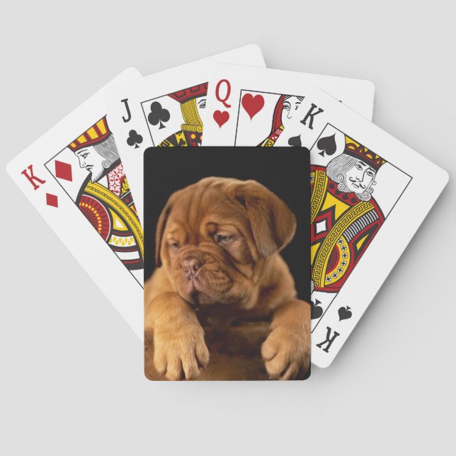 Dogue de Bordeaux - Französischer Mastiff Welpe Spielkarten (Rückseite)