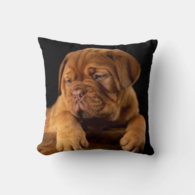Dogue de Bordeaux - Französischer Mastiff Welpenhu Kissen (Vorderseite)