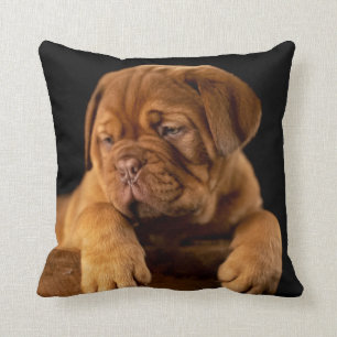 Dogue de Bordeaux - Französischer Mastiff Welpenhu Kissen