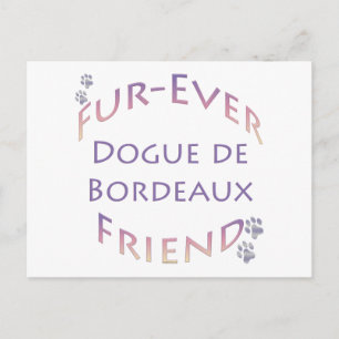 Dogue de Bordeaux Furever Postkarte