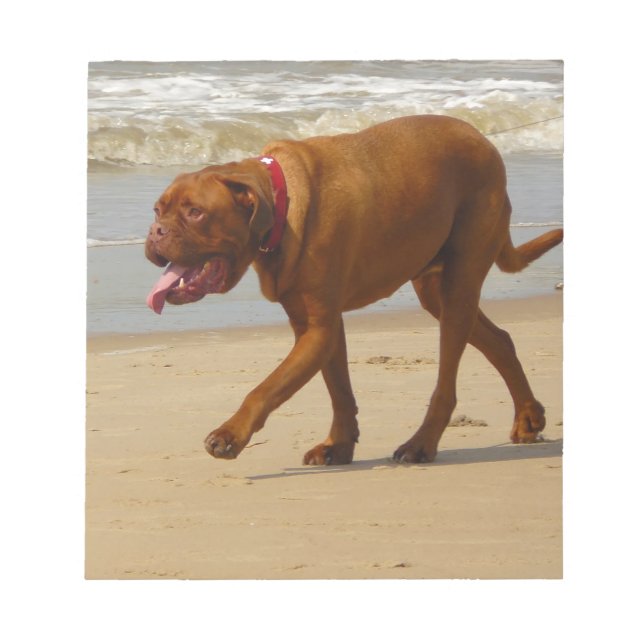dogue de bordeaux notizblock (Vorderseite)