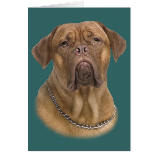 Dogue De Bordeaux Portait Karte