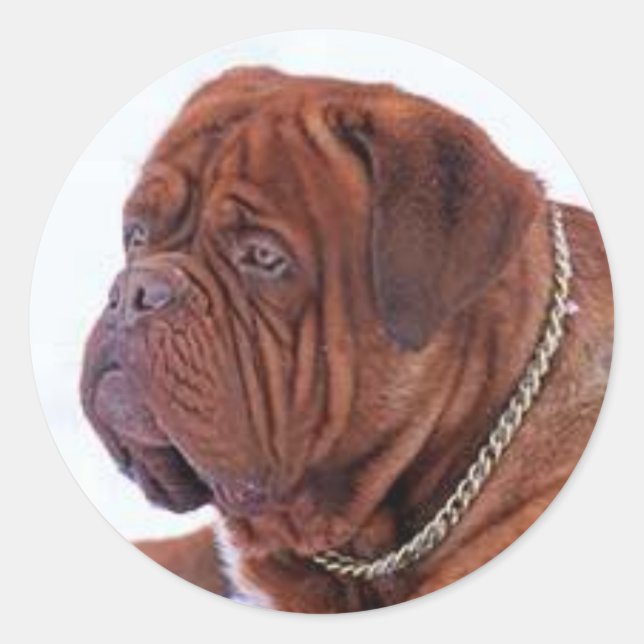 Dogue De Bordeaux Runder Aufkleber (Vorderseite)