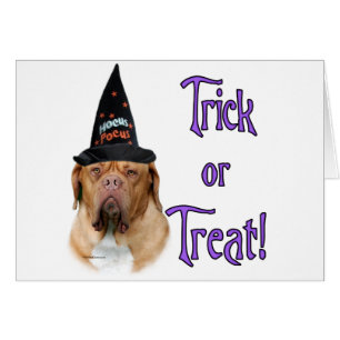 Dogue de Bordeaux Trick