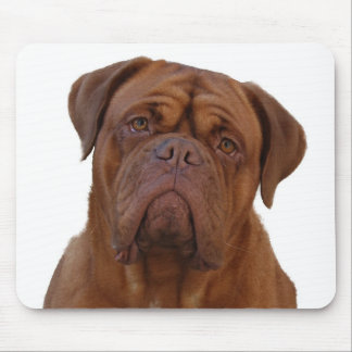 Dogue de Bourdeaux Mousepad
