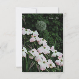 Dogwood & Allium Mitteilungskarte