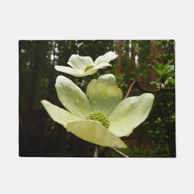 Dogwood and Redwoods in Yosemite National Park Fußmatte (Vorderseite)