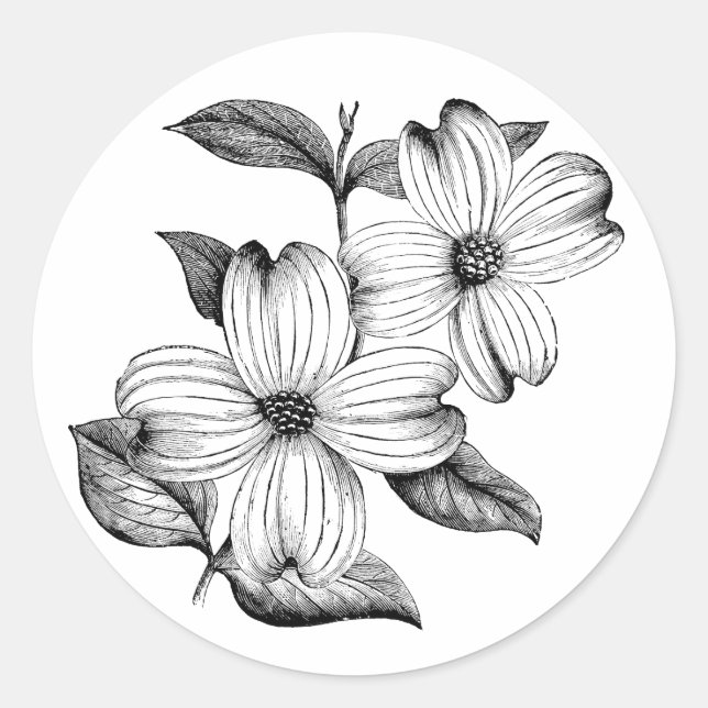 Dogwood-Aufkleber Runder Aufkleber (Vorderseite)