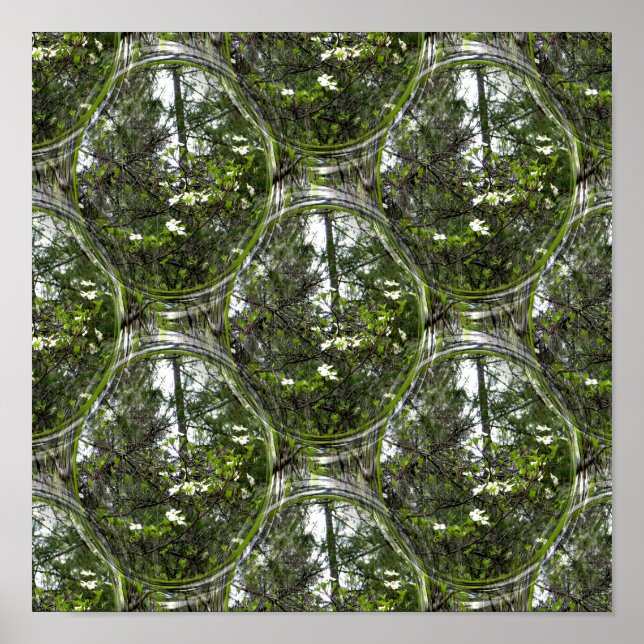 Dogwood-Blasen.... Poster (Vorne)