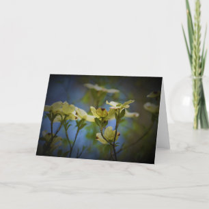 Dogwood Blossom, Karte