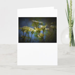 Dogwood Blossom, Karte