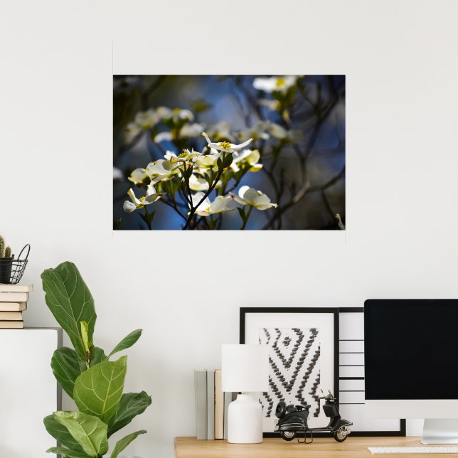 Dogwood Blossom, Poster (Heimbüro)