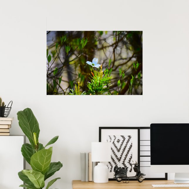 Dogwood Blossom, Poster (Heimbüro)