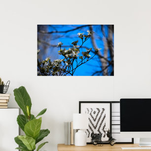 Dogwood Blossom, Poster