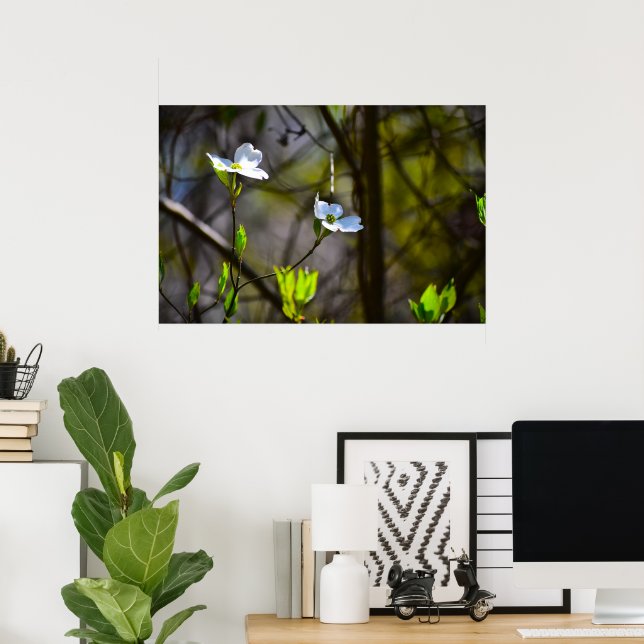 Dogwood Blossom, Poster (Heimbüro)