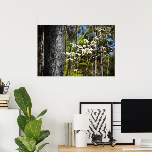 Dogwood Blossom, Poster (Heimbüro)