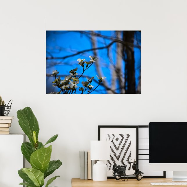 Dogwood Blossom, Poster (Heimbüro)