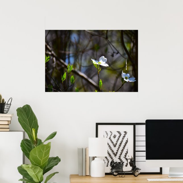 Dogwood Blossom, Poster (Heimbüro)