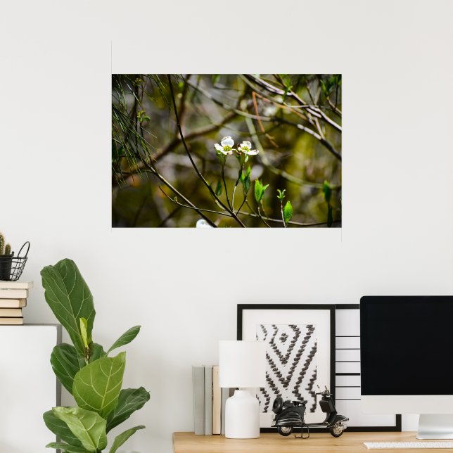 Dogwood Blossom, Poster (Heimbüro)