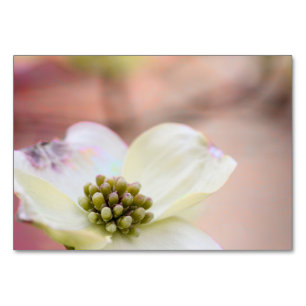 Dogwood-Blossom Tischnummer
