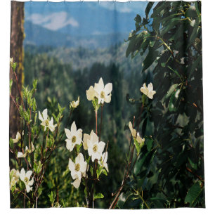 Dogwood blüht...... duschvorhang