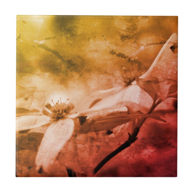 Dogwood-Blume Schwarz-Weiß Vintag Fliese (Vorderseite)