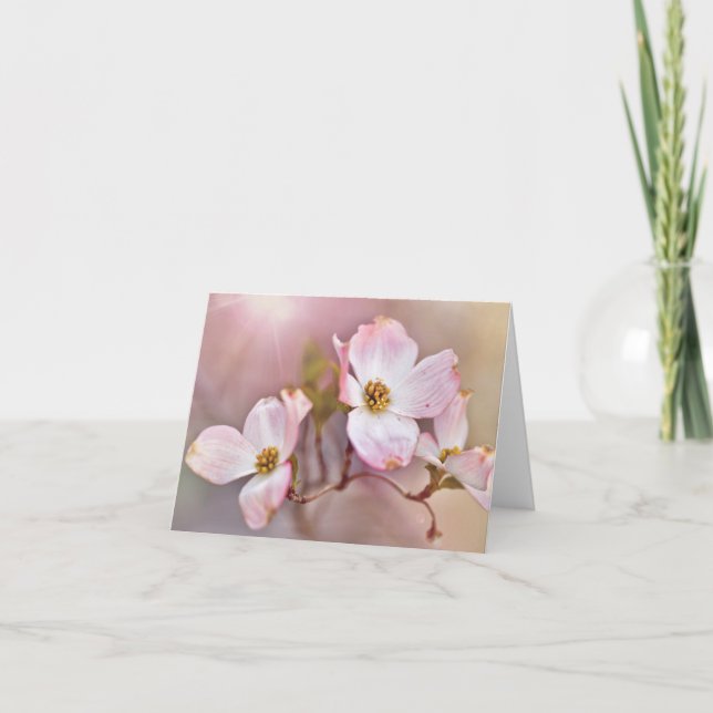 Dogwood-Blüten-Jedem Anlass-Mitteilungskarten Karte (Vorderseite)