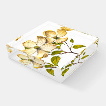 Dogwood