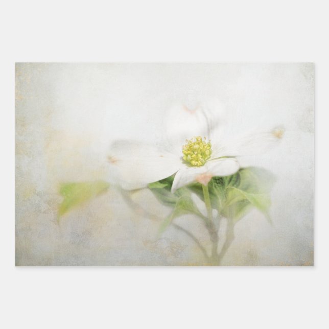 Dogwood Floral Art Decoupage Geschenkpapier Set (Vorderseite)