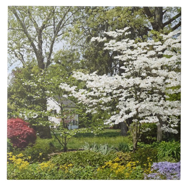 Dogwood in Bloom Fliese (Vorderseite)
