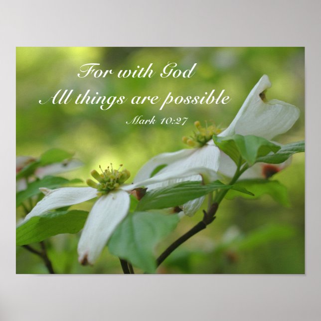 Dogwood mit dem Zitat Gottes Bibel Poster (Vorne)