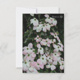 Dogwood Mitteilungskarte