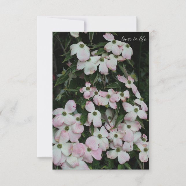 Dogwood Mitteilungskarte (Vorderseite)