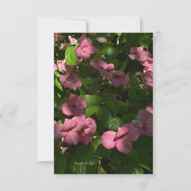 Dogwood Pink Mitteilungskarte (Vorderseite)